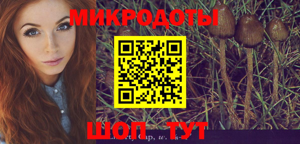 Псилоцибиновые грибы мухоморы Елабуга