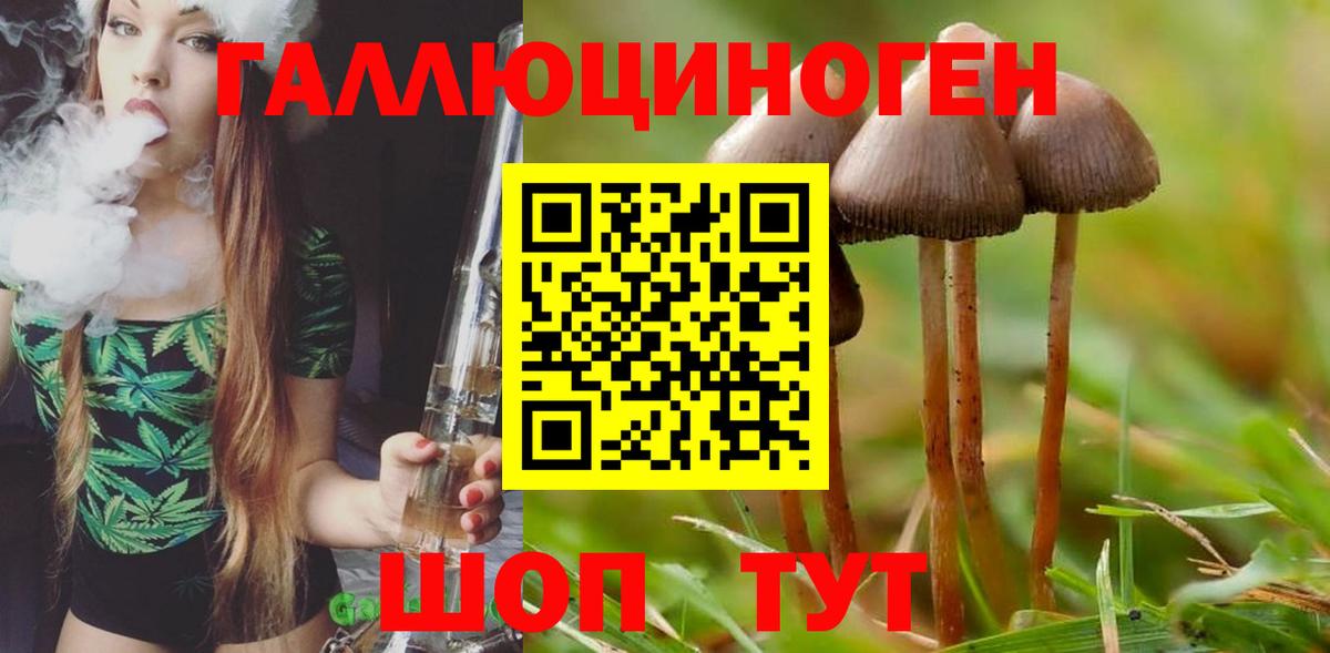 Галлюциногенные грибы Psilocybe  Вход с VPN  цена   Елабуга 